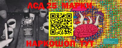 индика Кунгур