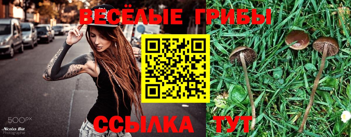 Псилоцибиновые грибы мухоморы Кинель