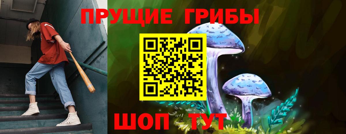 Галлюциногенные грибы Psilocybe  Вход с VPN  где продают   Кинель 